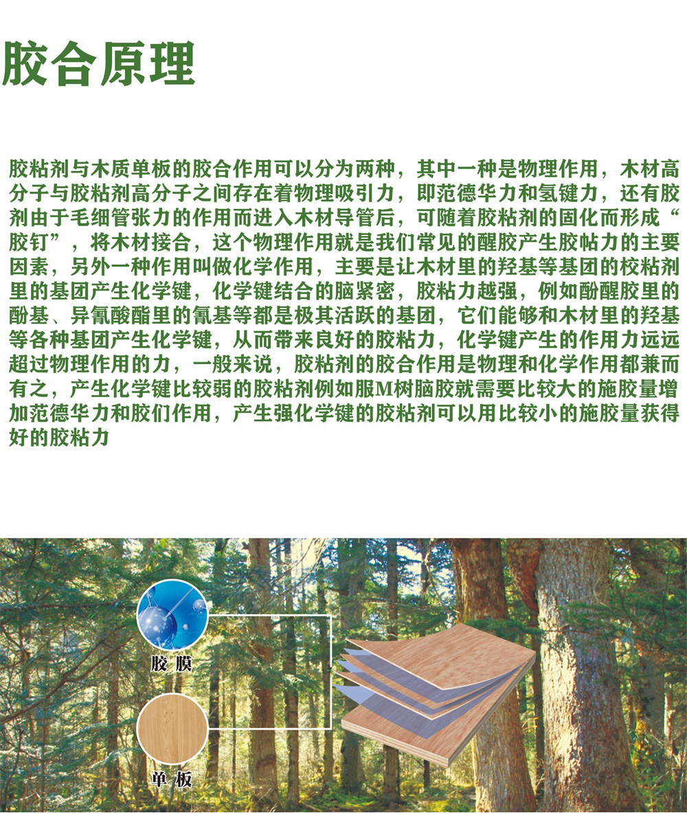 泰揚木業宣傳冊-4.jpg