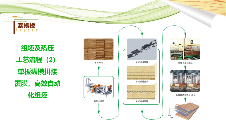 無醛熱熔膠膜闆-泰揚-15.jpg